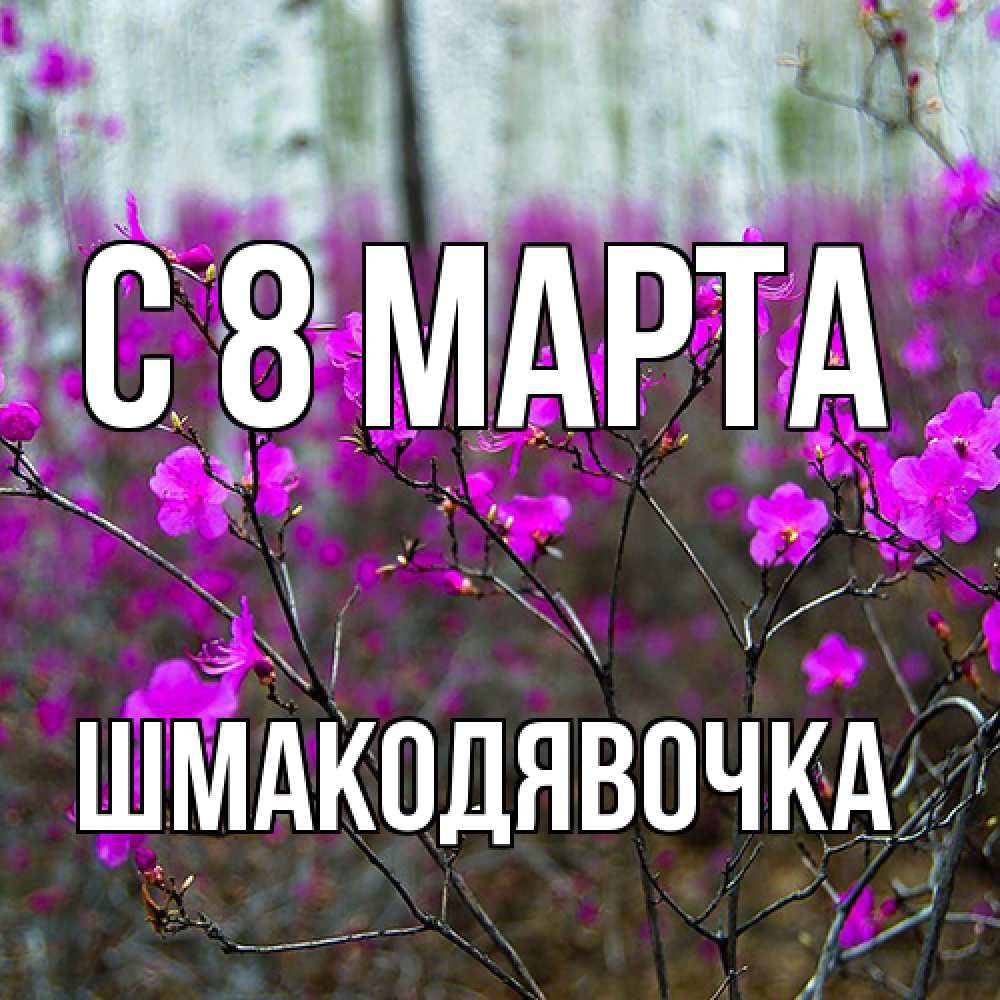 Открытка на каждый день с именем, шмакодявочка C 8 МАРТА дикие цветы Прикольная открытка с пожеланием онлайн скачать бесплатно 