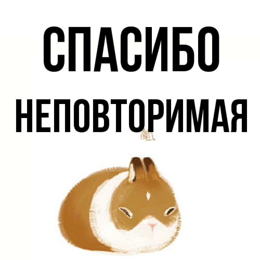 Открытка на каждый день с именем, Hеповтоpимая Спасибо коричнево белый домашний питомец Прикольная открытка с пожеланием онлайн скачать бесплатно 