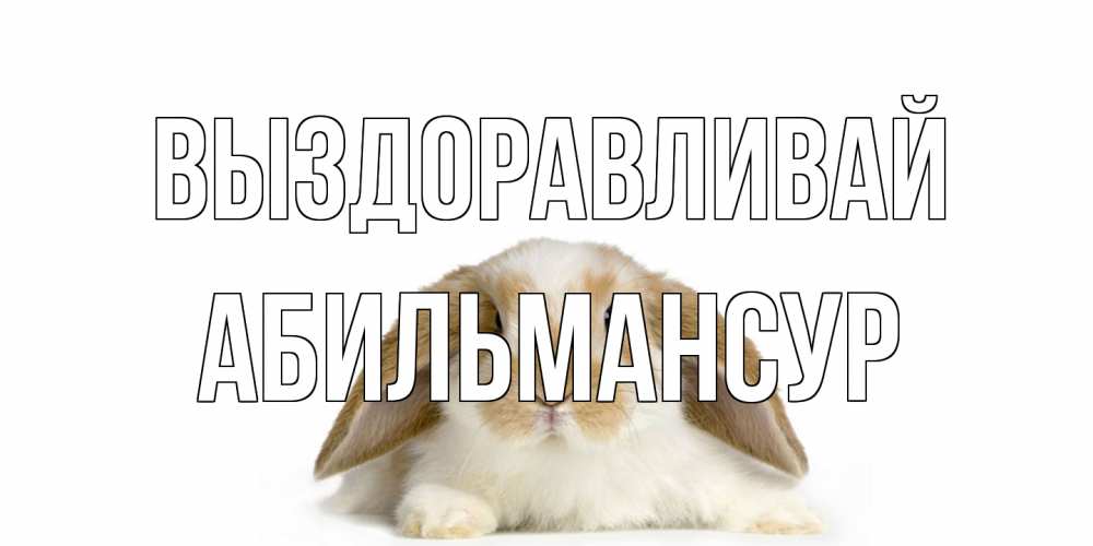Открытка на каждый день с именем, Абильмансур Выздоравливай вислоухий кролик белого и коричневого цвета Прикольная открытка с пожеланием онлайн скачать бесплатно 