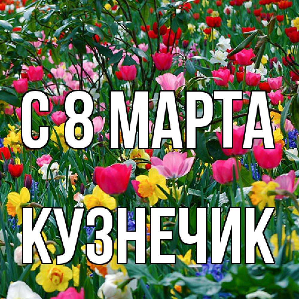 Открытка на каждый день с именем, Кузнечик C 8 МАРТА с международным женским днем поздравления для женщины Прикольная открытка с пожеланием онлайн скачать бесплатно 