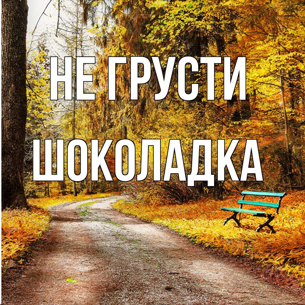 Открытка на каждый день с именем, Шоколадка Не грусти зеленая лавочка Прикольная открытка с пожеланием онлайн скачать бесплатно 