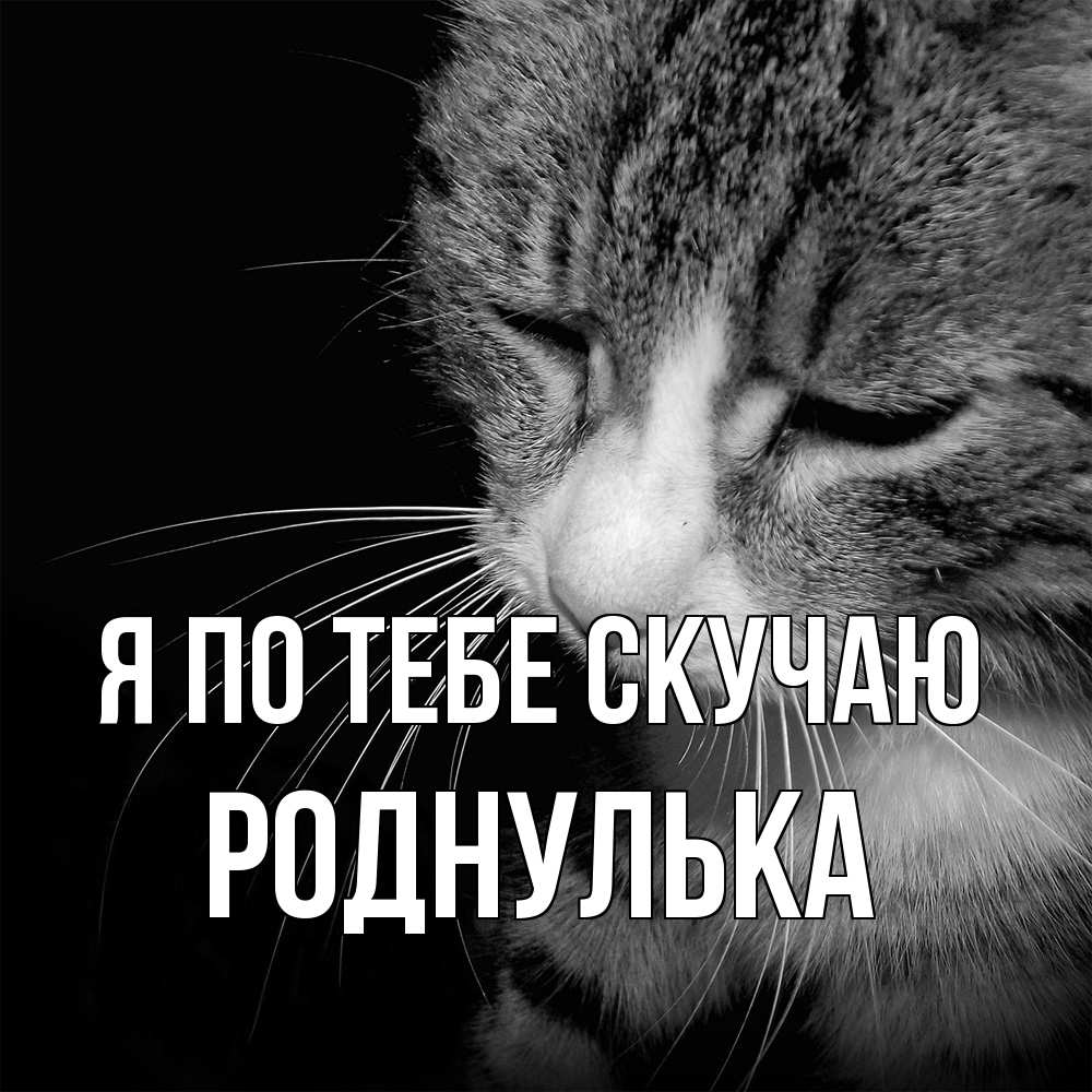 Открытка на каждый день с именем, Роднулька Я по тебе скучаю мне скучно Прикольная открытка с пожеланием онлайн скачать бесплатно 