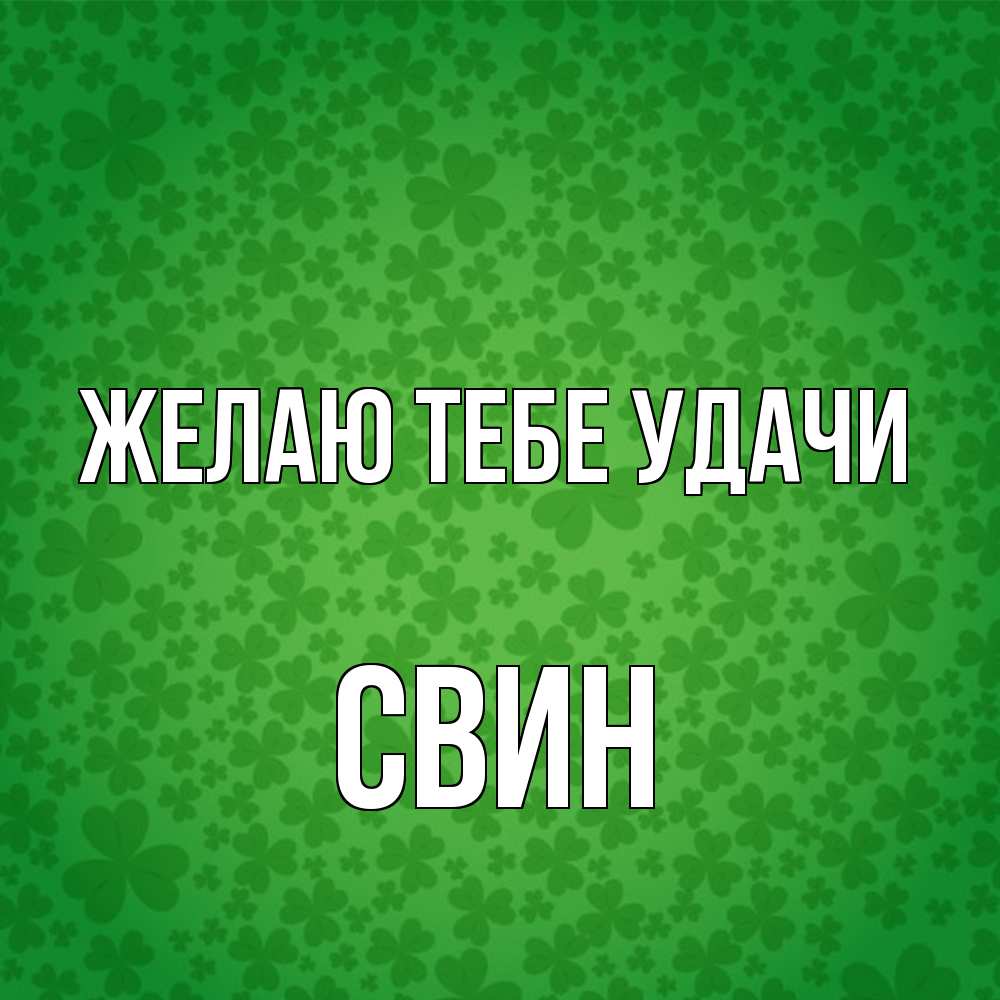 Открытка на каждый день с именем, Свин Желаю тебе удачи много листочков на удачу Прикольная открытка с пожеланием онлайн скачать бесплатно 