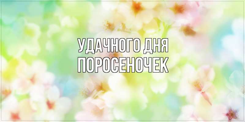 Картинка Удачного дня, поросеночек