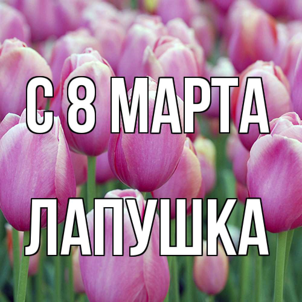 Открытка на каждый день с именем, лапушка C 8 МАРТА на международный женский день 3 Прикольная открытка с пожеланием онлайн скачать бесплатно 