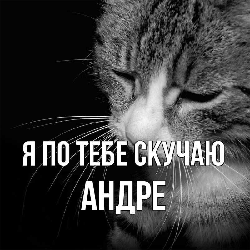 Картинка Я по тебе скучаю, Андре