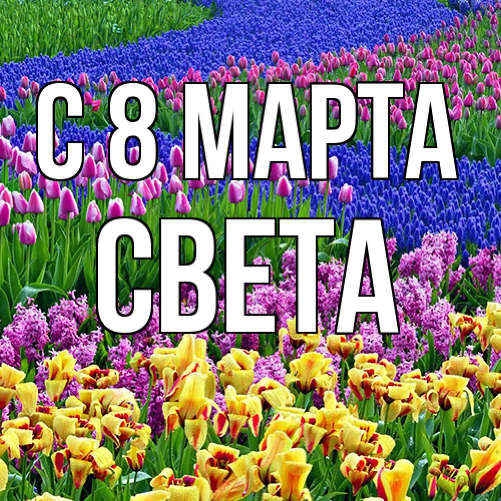 Открытка на каждый день с именем, Света C 8 МАРТА цветы Прикольная открытка с пожеланием онлайн скачать бесплатно 