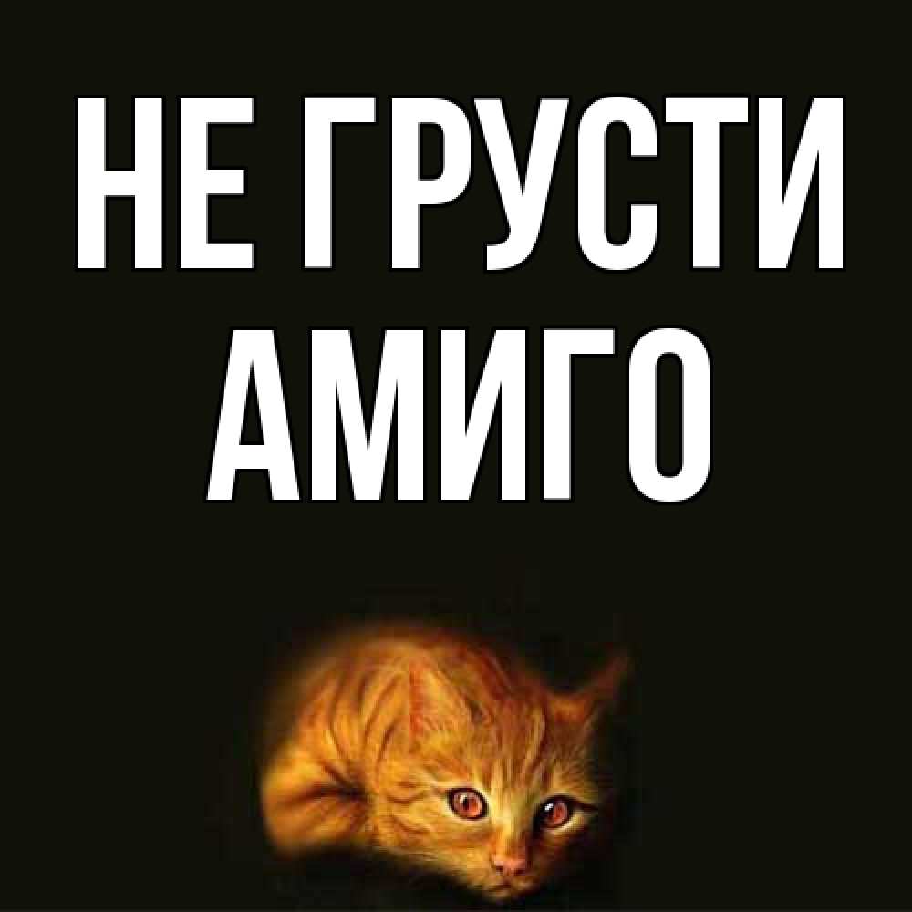 Открытка на каждый день с именем, Амиго Не грусти лежащий кот в темноте Прикольная открытка с пожеланием онлайн скачать бесплатно 