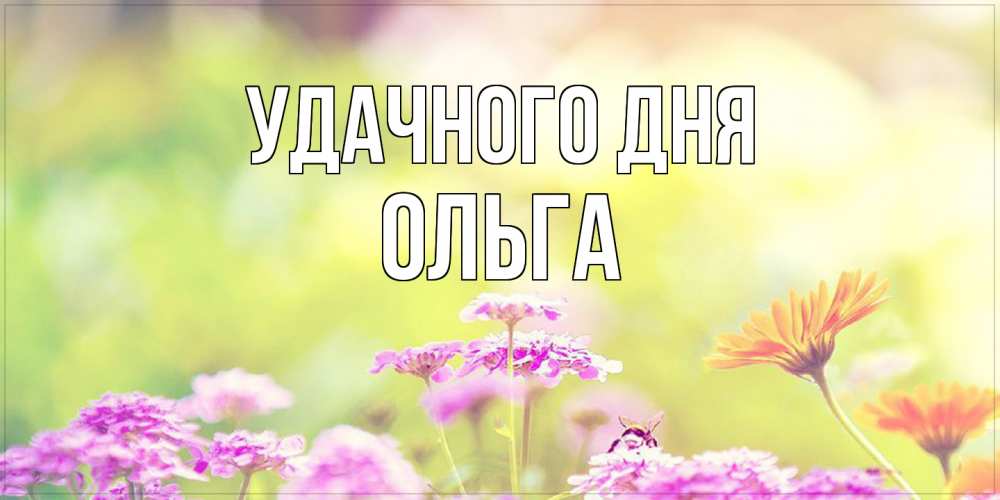 Открытка на каждый день с именем, Ольга Удачного дня красивая открытка с летней темой Прикольная открытка с пожеланием онлайн скачать бесплатно 