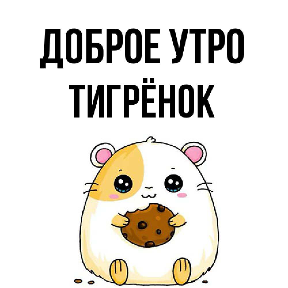 Открытка на каждый день с именем, Тигрёнок Доброе утро есть печеньку. Утречко Прикольная открытка с пожеланием онлайн скачать бесплатно 