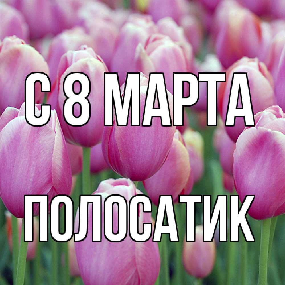 Открытка на каждый день с именем, полосатик C 8 МАРТА на международный женский день 3 Прикольная открытка с пожеланием онлайн скачать бесплатно 