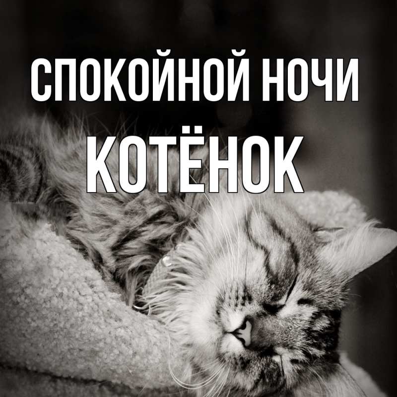 Картинка Спокойной ночи, Котёнок
