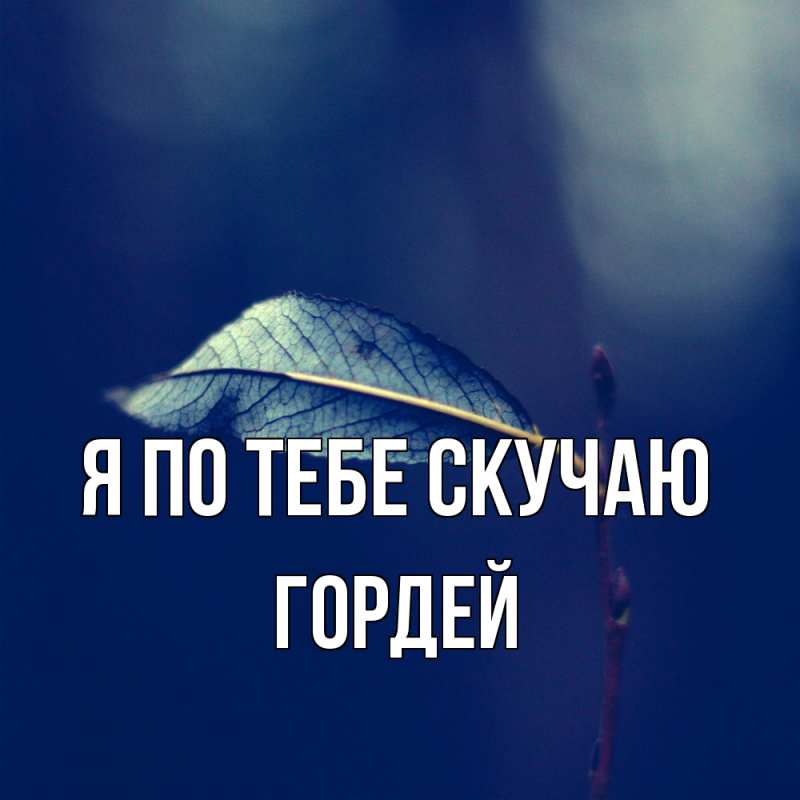 Картинка Я по тебе скучаю, Гордей