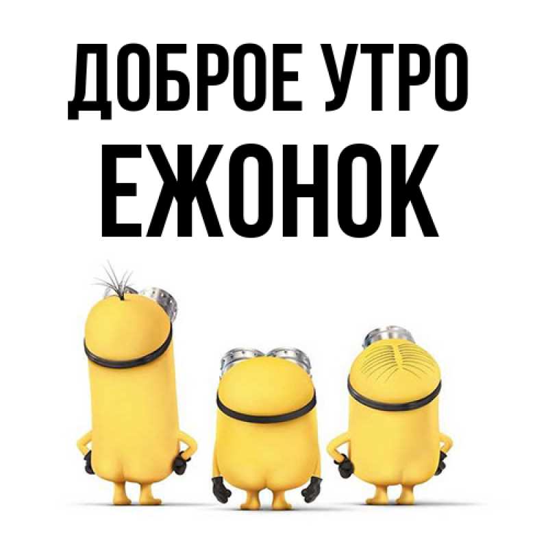 Картинка Доброе утро, Ежонок