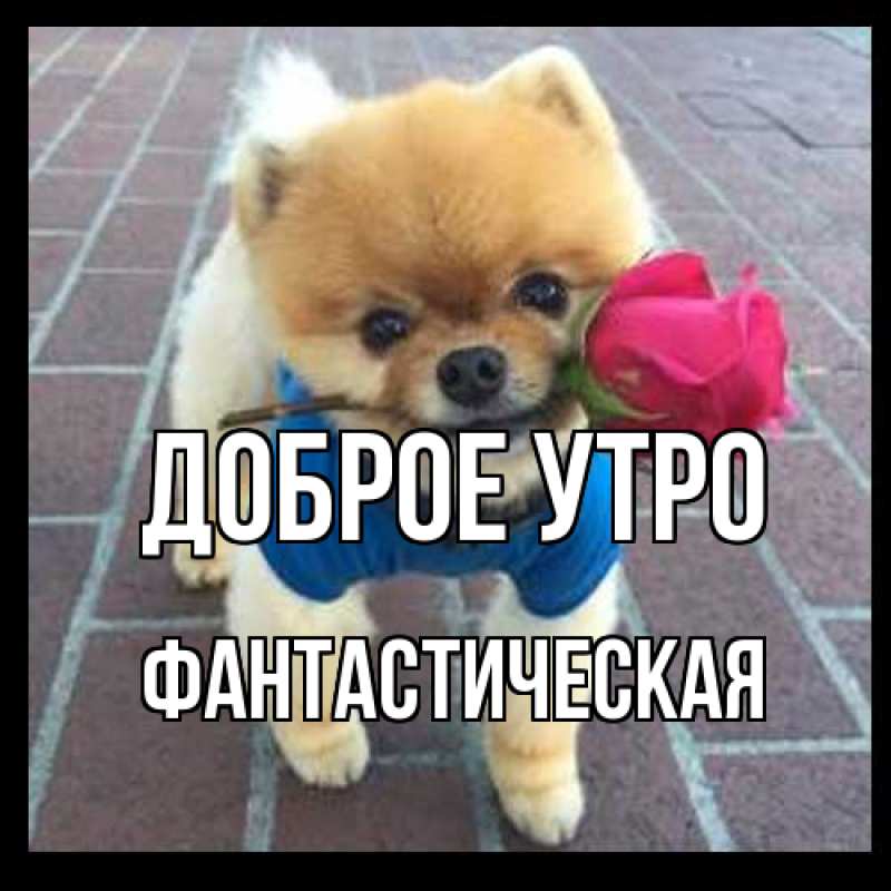 Картинка Доброе утро, Фантастическая