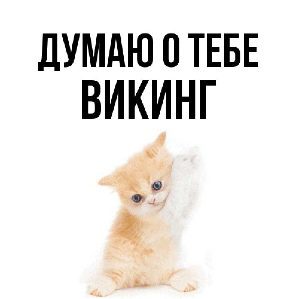 Открытка на каждый день с именем, Викинг Думаю о тебе зверушки и милота Прикольная открытка с пожеланием онлайн скачать бесплатно 