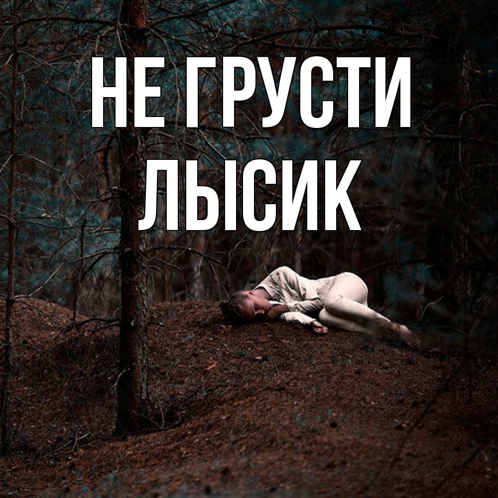 Открытка на каждый день с именем, Лысик Не грусти лес Прикольная открытка с пожеланием онлайн скачать бесплатно 