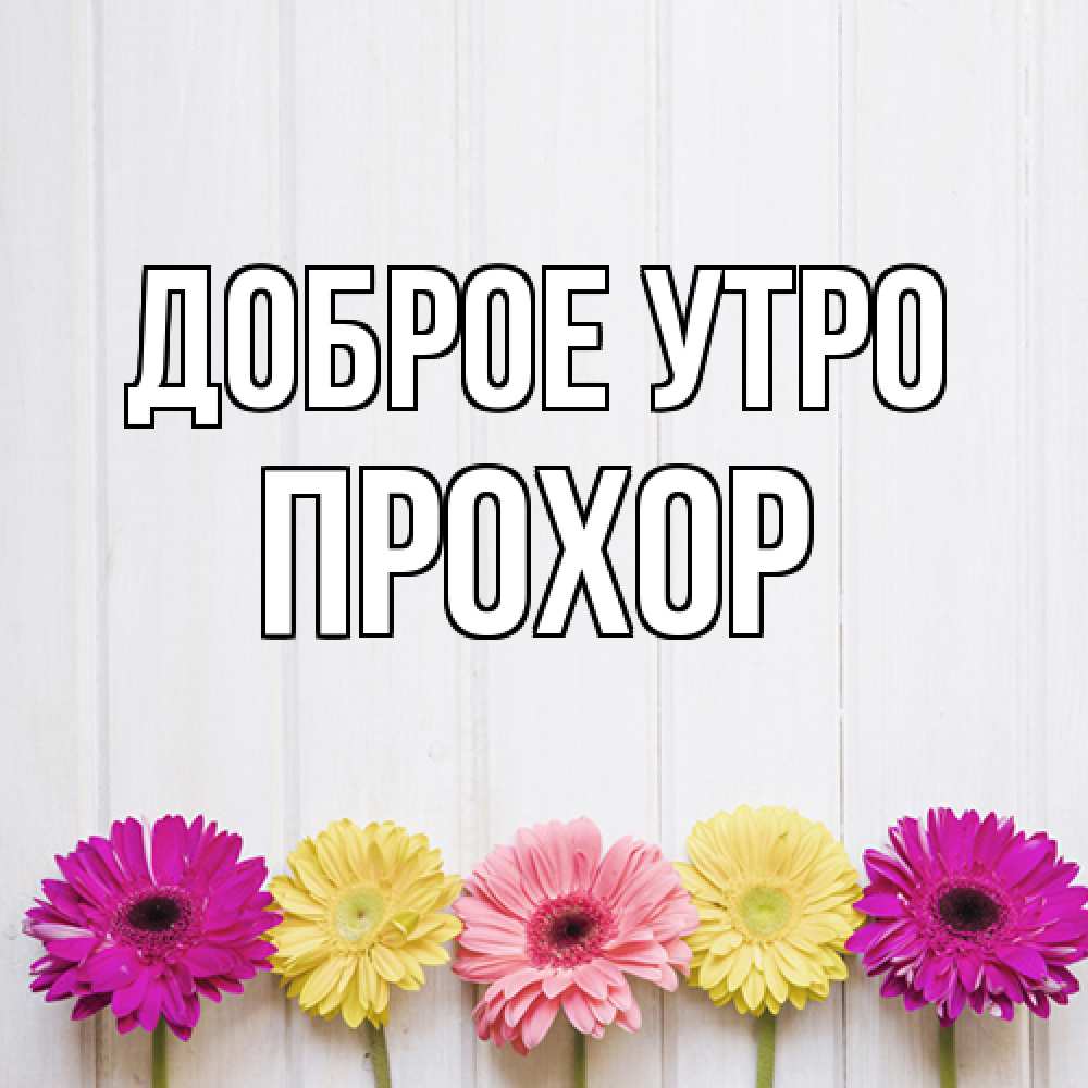 Открытка на каждый день с именем, Прохор Доброе утро красный желтый и розовый цветок Прикольная открытка с пожеланием онлайн скачать бесплатно 