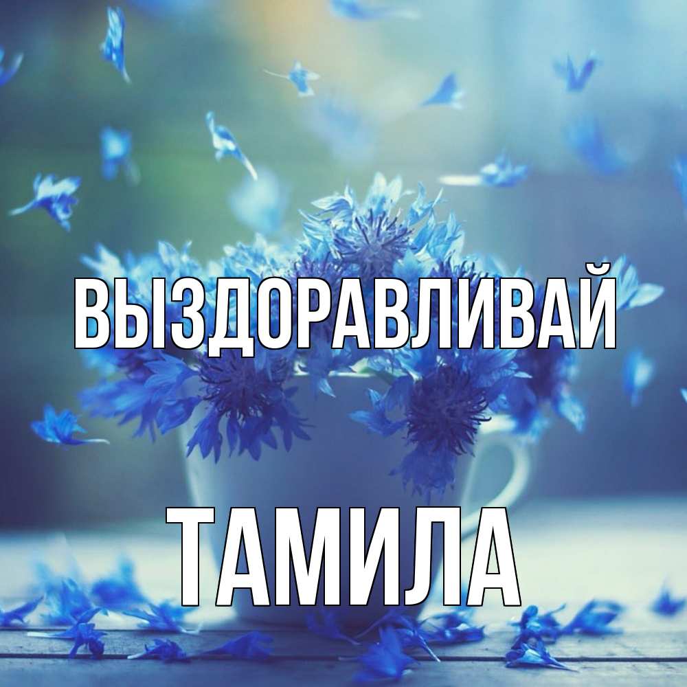 Открытка на каждый день с именем, ТАМИЛА Выздоравливай кружка с зельем и цветами Прикольная открытка с пожеланием онлайн скачать бесплатно 
