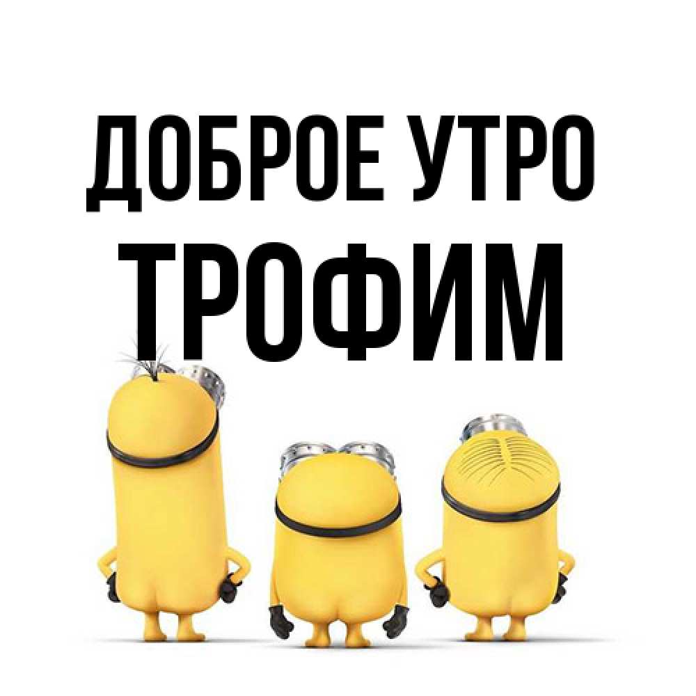 Открытка на каждый день с именем, Трофим Доброе утро подписать открытку онлайн бесплатно Прикольная открытка с пожеланием онлайн скачать бесплатно 