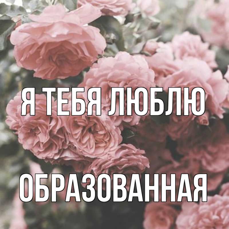 Картинка Я тебя люблю, Образованная