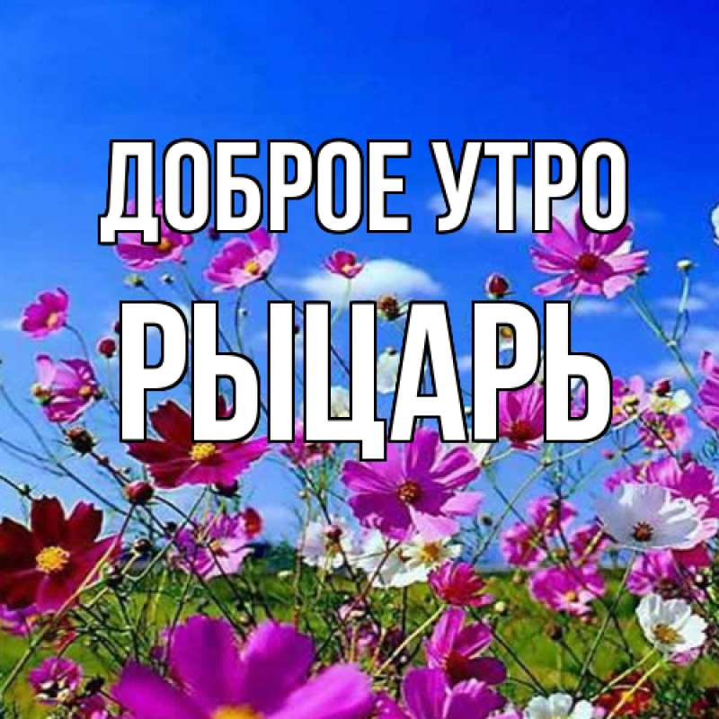 Картинка Доброе утро, Рыцарь