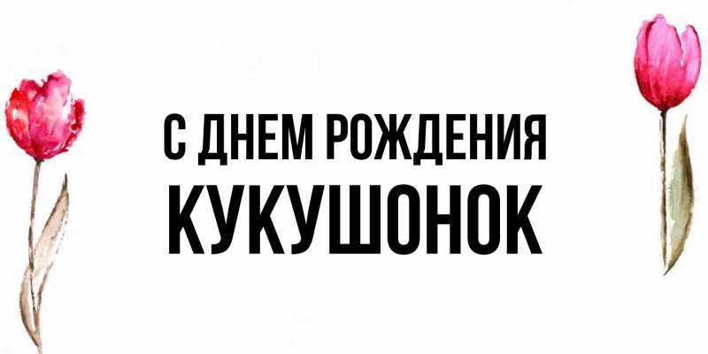 Картинка С днем рождения, кукушонок