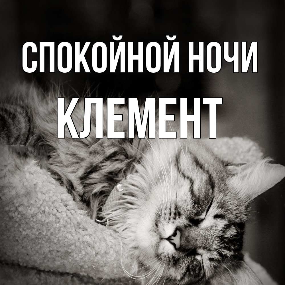 Открытка на каждый день с именем, Клемент Спокойной ночи котярик пушистый Прикольная открытка с пожеланием онлайн скачать бесплатно 