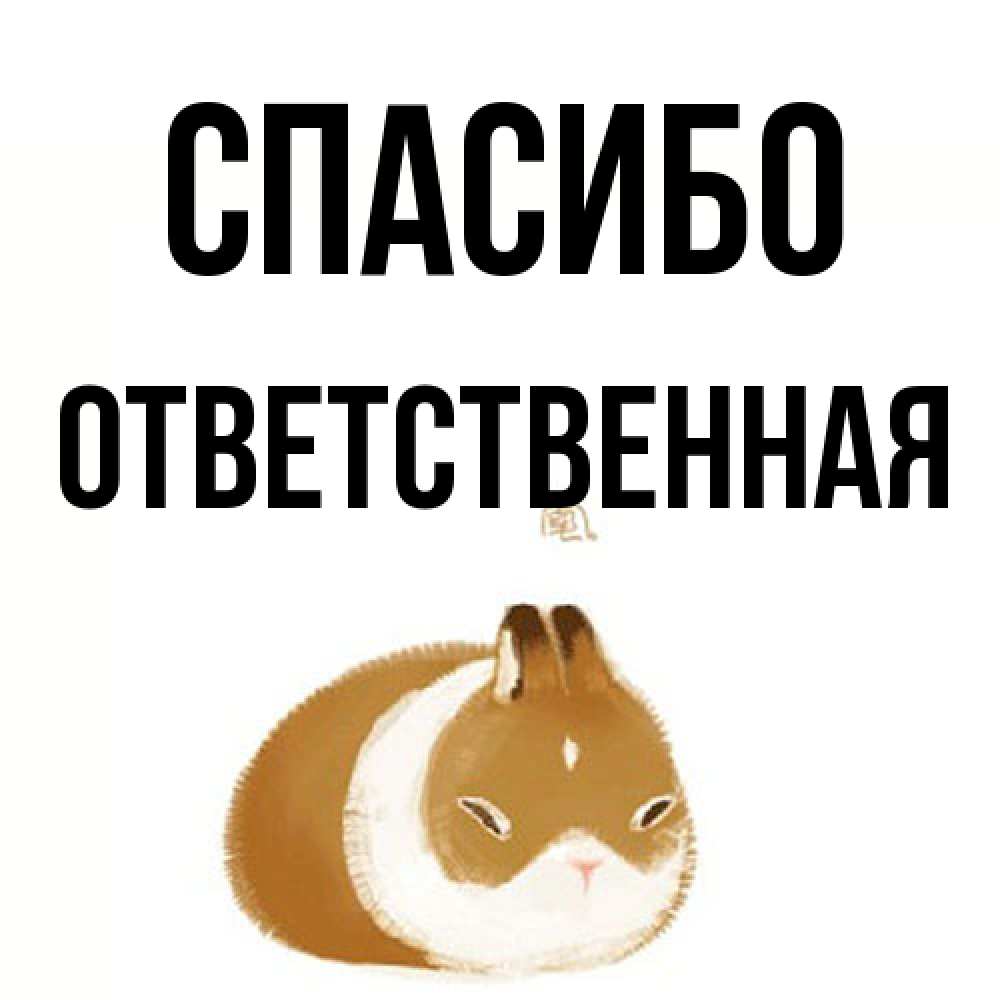 Открытка на каждый день с именем, ответственная Спасибо коричнево белый домашний питомец Прикольная открытка с пожеланием онлайн скачать бесплатно 