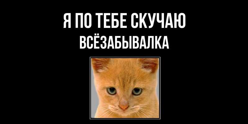 Картинка Я по тебе скучаю, Всёзабывалка