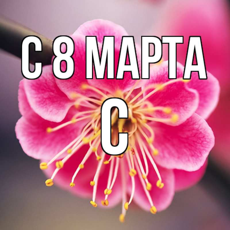 Картинка C 8 МАРТА, С