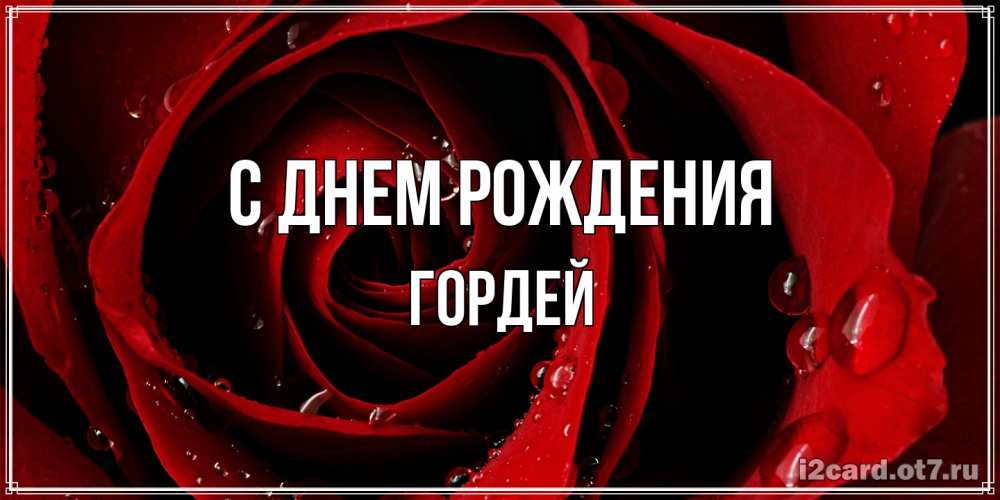 Открытка на каждый день с именем, Гордей С днем рождения крупная бордовая роза Прикольная открытка с пожеланием онлайн скачать бесплатно 
