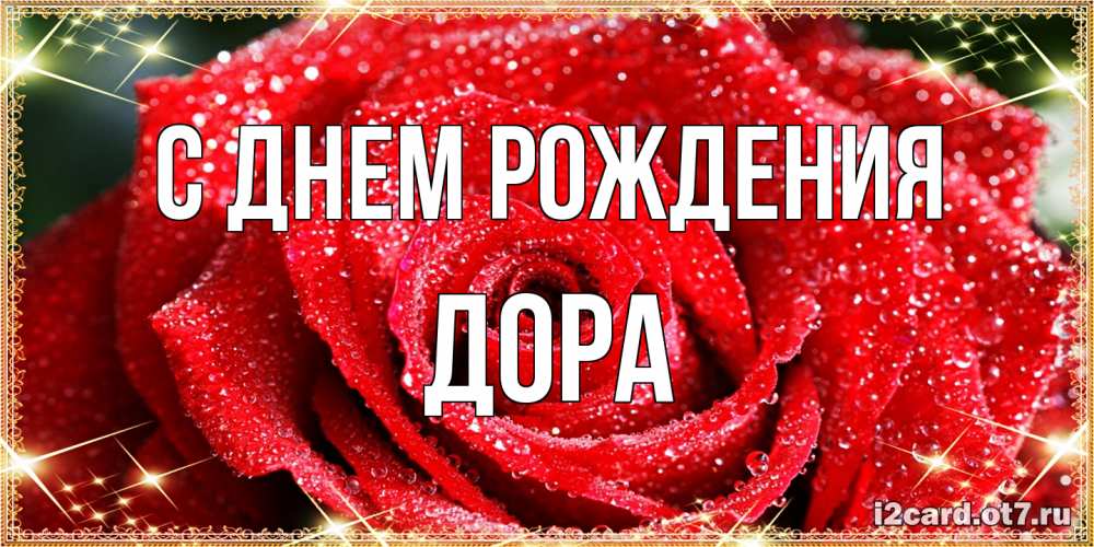 Открытка на каждый день с именем, Дора С днем рождения роса и роза. открытка с красивой розой Прикольная открытка с пожеланием онлайн скачать бесплатно 