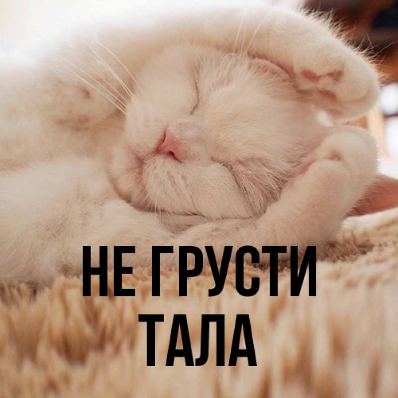 Картинка Не грусти, Тала
