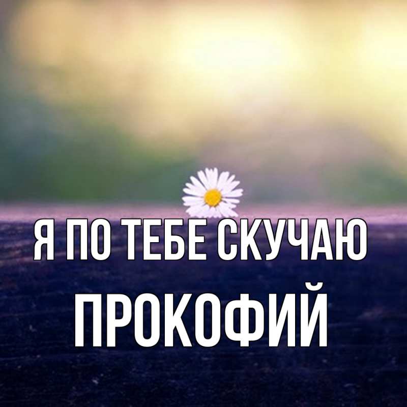 Картинка Я по тебе скучаю, Прокофий