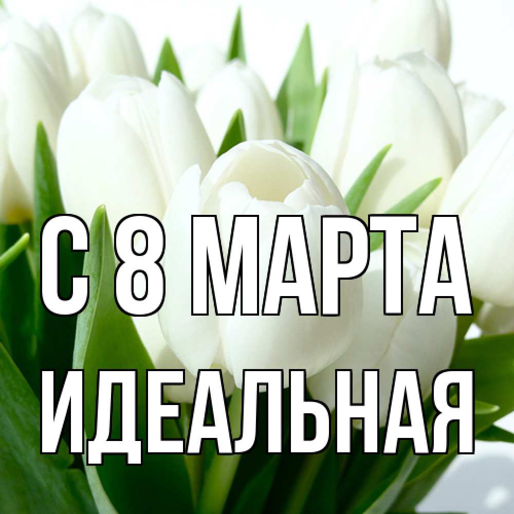 Открытка на каждый день с именем, идеальная C 8 МАРТА цветы Прикольная открытка с пожеланием онлайн скачать бесплатно 