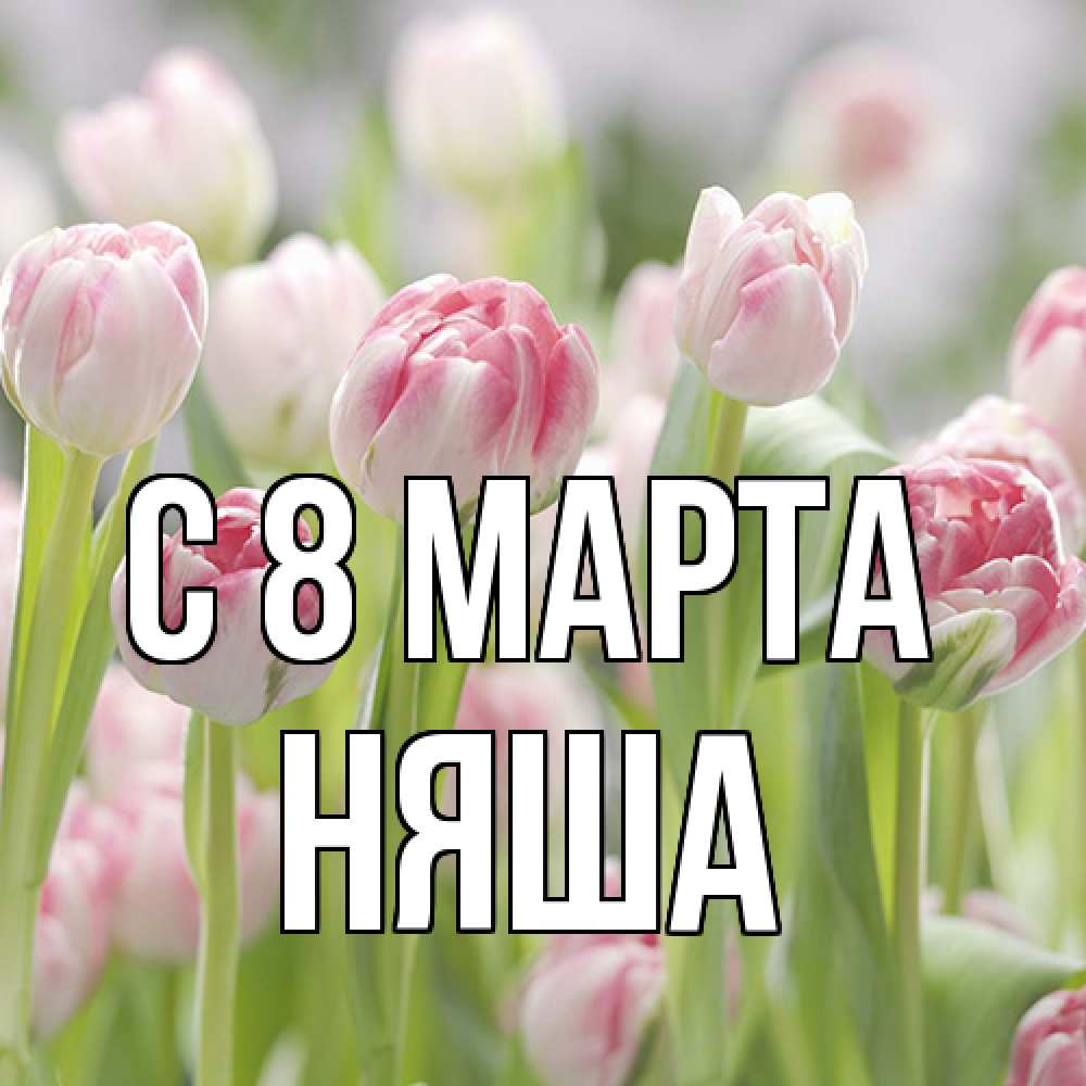 Открытка на каждый день с именем, няша C 8 МАРТА цветы Прикольная открытка с пожеланием онлайн скачать бесплатно 