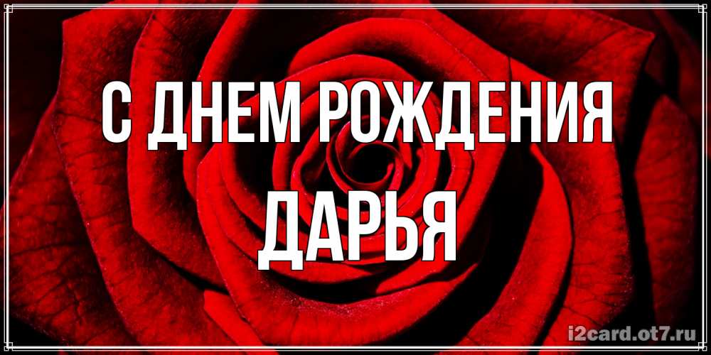 Открытка на каждый день с именем, Дарья С днем рождения алая роза Прикольная открытка с пожеланием онлайн скачать бесплатно 