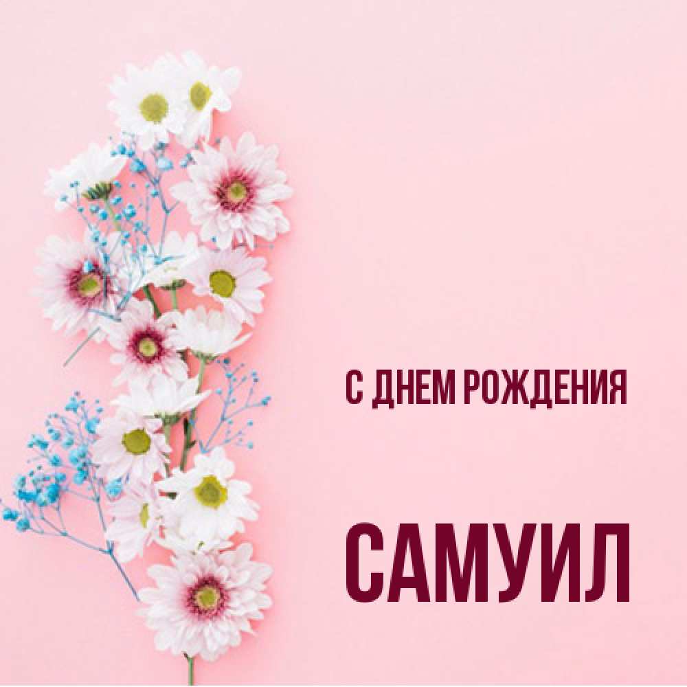 Открытка на каждый день с именем, Самуил С днем рождения Родная моя с днем рождения тебя картинка с цветами белыми и голубыми Прикольная открытка с пожеланием онлайн скачать бесплатно 