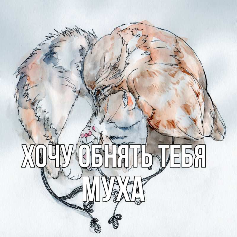 Картинка Хочу обнять тебя, Муха