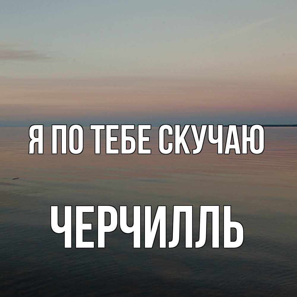 Открытка на каждый день с именем, Черчилль Я по тебе скучаю пусто Прикольная открытка с пожеланием онлайн скачать бесплатно 