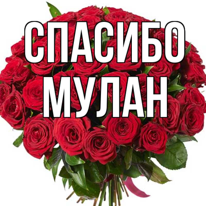 Картинка Спасибо, Мулан