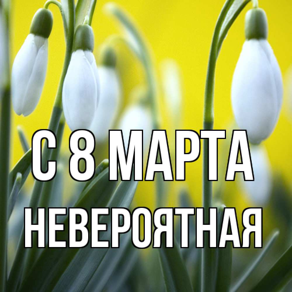 Открытка на каждый день с именем, невероятная C 8 МАРТА весенние цветы Прикольная открытка с пожеланием онлайн скачать бесплатно 