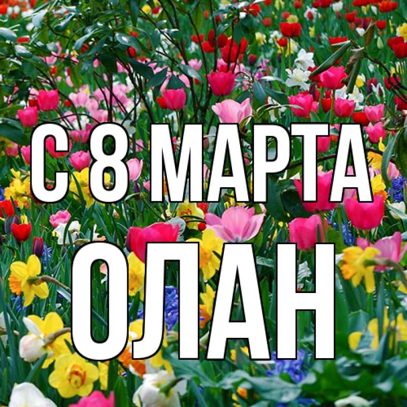 Картинка C 8 МАРТА, Олан