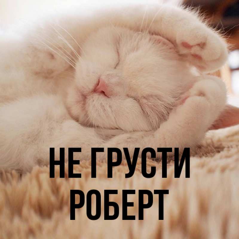 Картинка Не грусти, Роберт