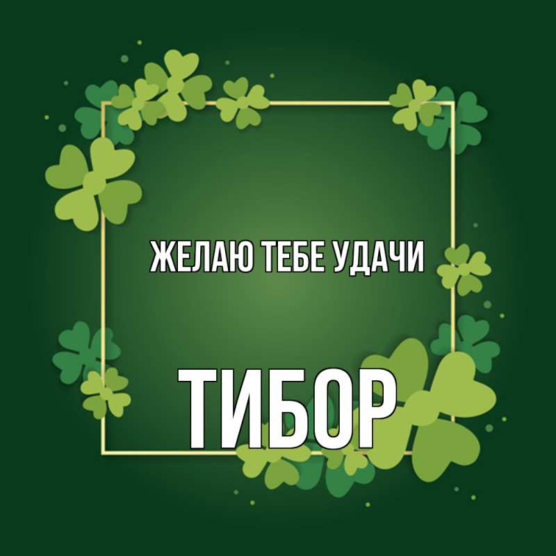 Картинка Желаю тебе удачи, Тибор