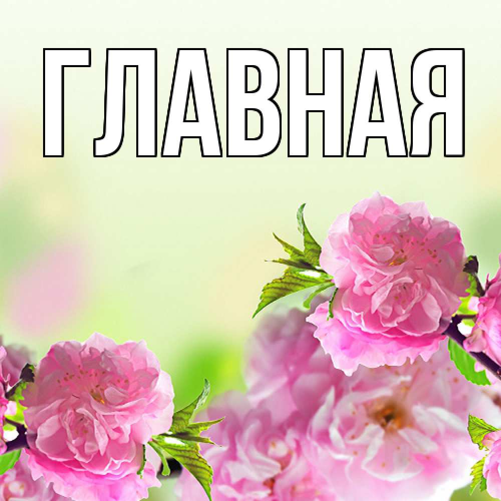 Открытка на каждый день с именем, настя Главная цветы Прикольная открытка с пожеланием онлайн скачать бесплатно 