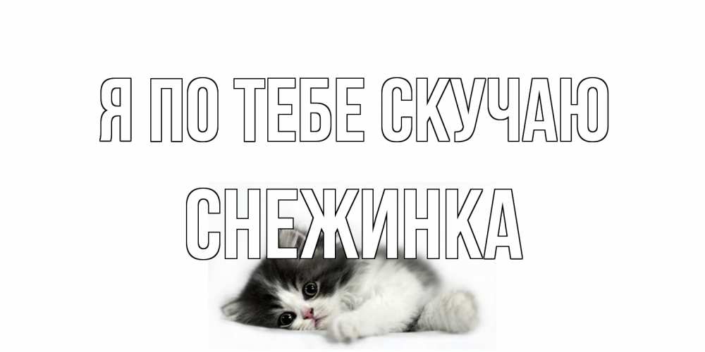Открытка на каждый день с именем, Снежинка Я по тебе скучаю кот, скука Прикольная открытка с пожеланием онлайн скачать бесплатно 