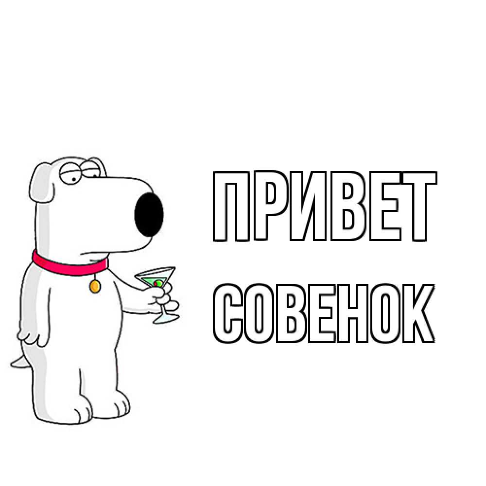 Открытка на каждый день с именем, совенок Привет собака и коктейль Прикольная открытка с пожеланием онлайн скачать бесплатно 