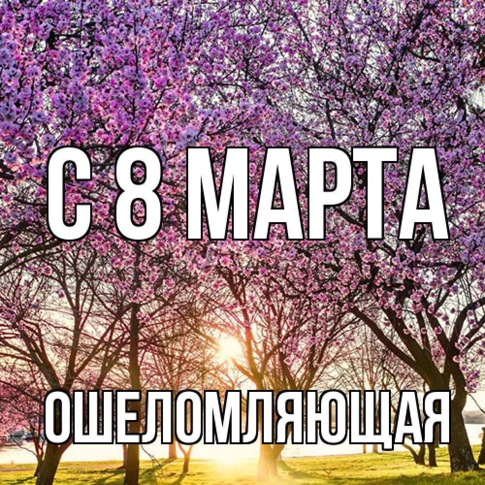 Открытка на каждый день с именем, Ошеломляющая C 8 МАРТА международный женский день Прикольная открытка с пожеланием онлайн скачать бесплатно 